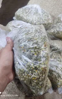 گل بابونه