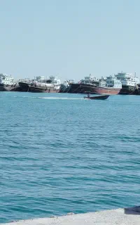 سفر به بوشهر