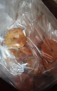 سفارشات ر و غن جوشی پذیرفته میشود