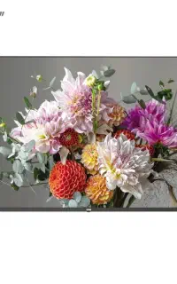 ال ای دی 50 مدل 7750 سام باجت و کالاپی