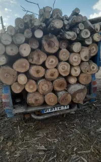 خرید انواع چوب