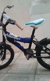 دوچرخه