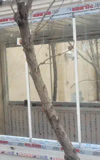 شیشه سکوریت وبالکنی،دوجدارهupvc