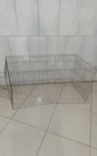 پارک و سینی ادرار سگ