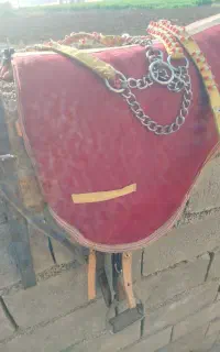 زین اسب