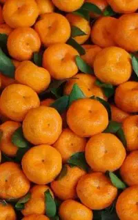 نارنگی