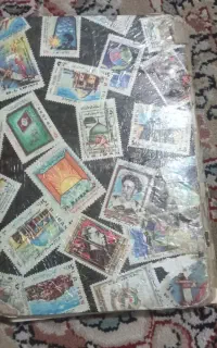 تمبر