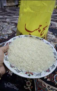 پخش برنج چمپا