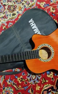 گیتار نو معاوضه با سهره