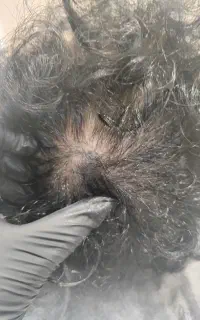 آموزش  متد پولساز میکرو اسکالپ SMP