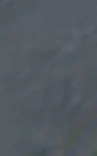 گوسفند