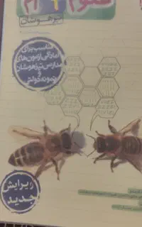 علوم نهم خیلی سبز