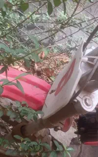 موتور مینی کراس