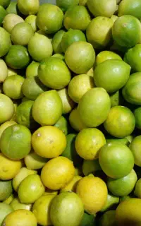 آبلیمو و آبغوره