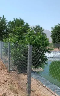 پایه فنس بتنی و داربست انگور