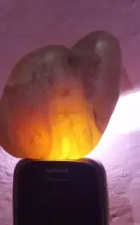 سنگ شجر