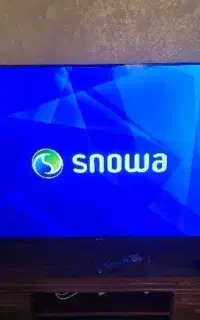 اسنوا هوشمند اسمارت