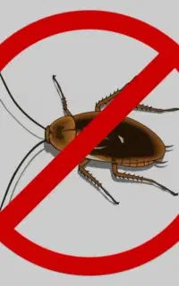 سمپاشی Boycott