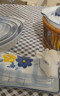ظروف گل پنبه