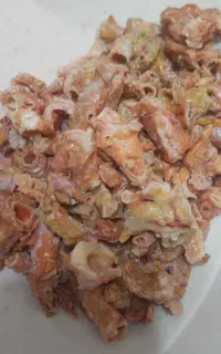 ضایعات جگر سفید