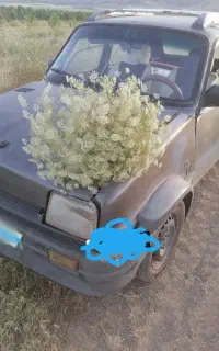 فروش یکدستگاه رنو پی کی مدل 1381