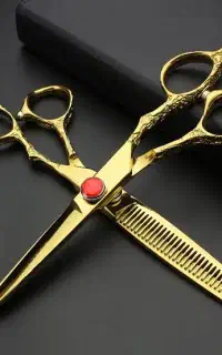 اصلاح زیر نرخ اتحادیه ، نمونه چک شود