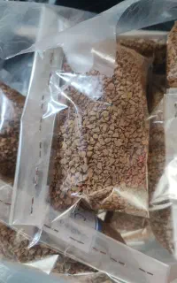 قهوه فوری گلد برزیل