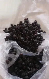 مویز