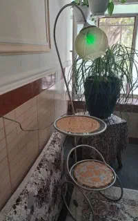 آباژور