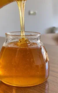 عسل ارگانیک کنار