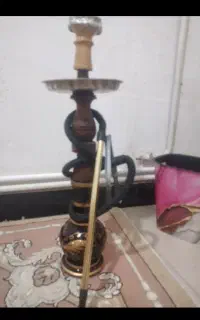 قلیان دوسیب ۳ ساله معاوضه با قناری