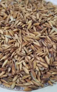 شلتوک درجه یک قیمت۲۱۰//