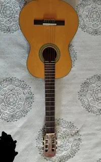 گیتار aria ak30
