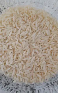 برنج هاشمی سورتینگ زده