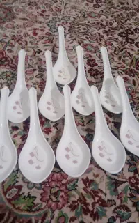 ده عدد قاشق خورشی