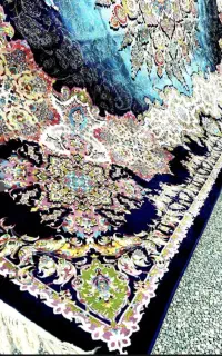 قالیشویی سناتور