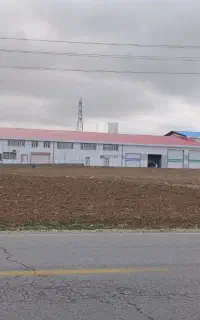 کارگر برای کشتارگاه مرغ