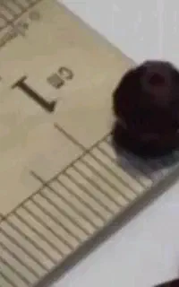 کسی مهره  خواص دار بیاد چت عکس نمایشی