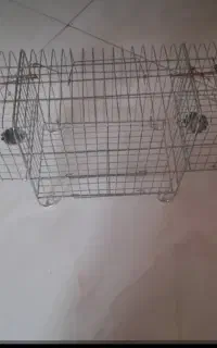 قفس تله سهره