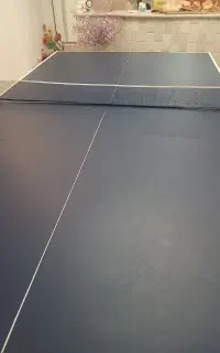 پینگ پنگ