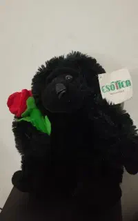 عروسک