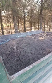 حمل شن شسته باخاور