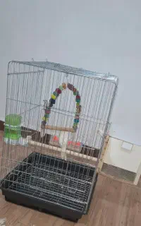 عروس هلندی