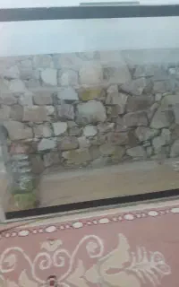 آکواریوم