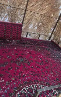الاچیق