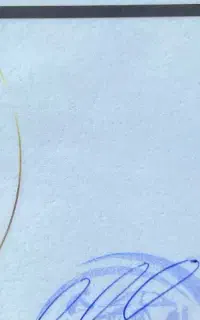 ساینا دوگانه