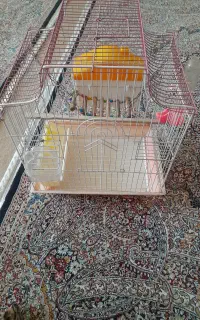 قفس در حد نو با تمام وسایل
