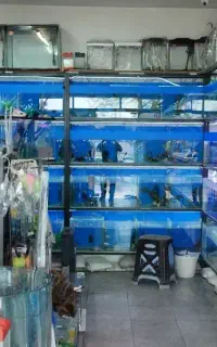 آکواریوم.فروشگاه آکواریوم موج سپید