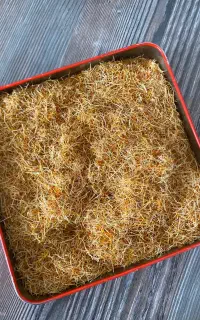 ریشه زعفران قائنات    کاربردی و اقتصادی    گرمی۵۲