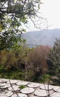 اجاره روزانه ویلا باغ دهبکری